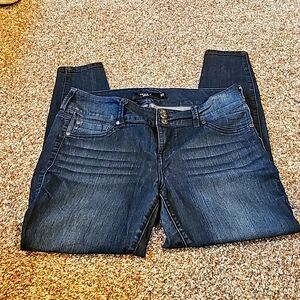 Torrid Denim skinny jeans